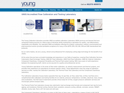 youngcalibration.co.uk snapshot