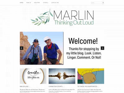 marlinvis.com snapshot