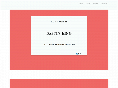 bastinking.tech snapshot