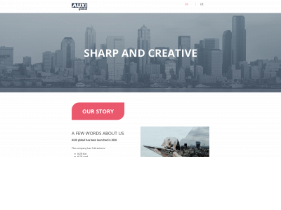 auxiglobal.com snapshot