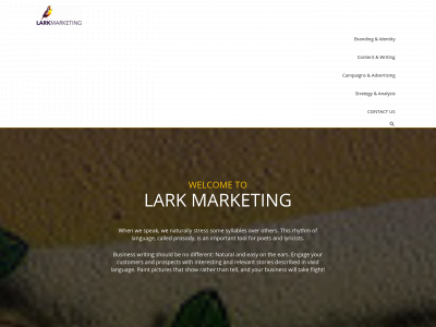 lark.marketing snapshot