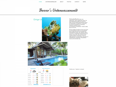 barteczko.info snapshot