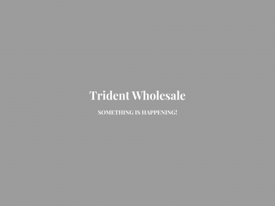 tridentwholesale.co.uk snapshot