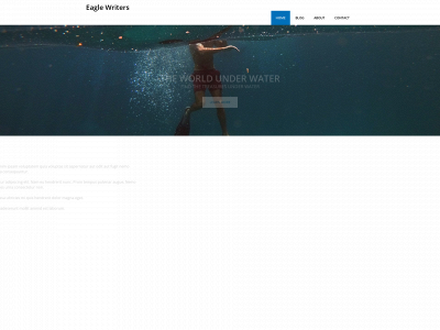 eagle-writers.com snapshot