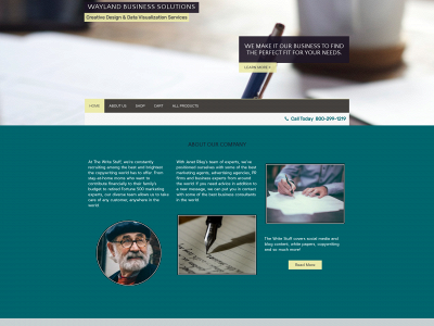 waylandsolutions.com snapshot