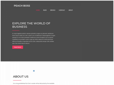peachboss.com snapshot