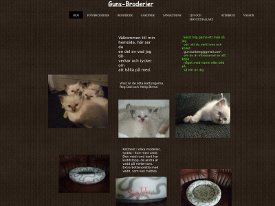 guns-broderier.se snapshot