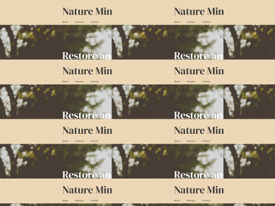 naturemindandbody.com snapshot