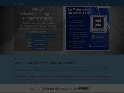 firesa.com.mx snapshot
