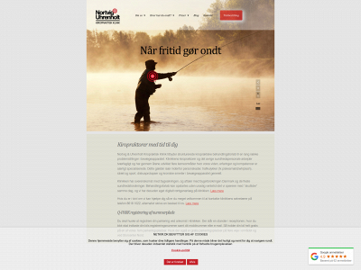 netkir.dk snapshot