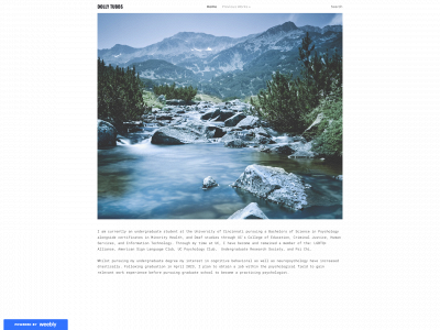 dollytubbs.weebly.com snapshot