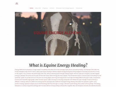 www.equineenergyalchemy.com snapshot
