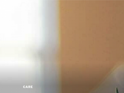 careersatcare.com snapshot
