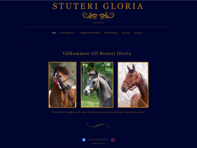stuterigloria.se snapshot