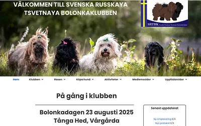 srtbk.se snapshot