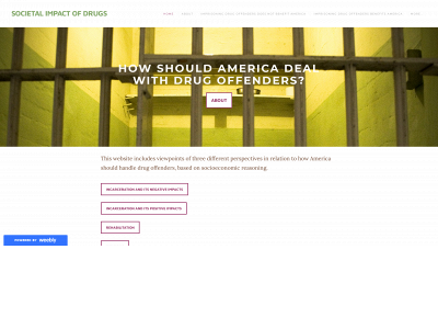 drugsandprison.weebly.com snapshot