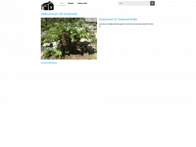 golstavik.se snapshot