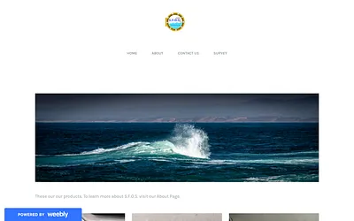 s4os.weebly.com snapshot