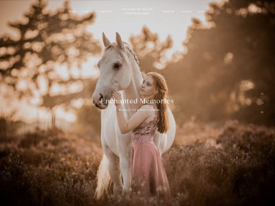 nellekedewilde-photography.be snapshot