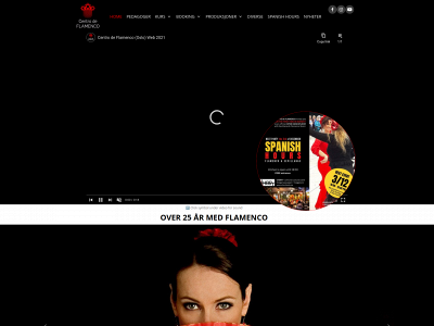 centrodeflamenco.no snapshot