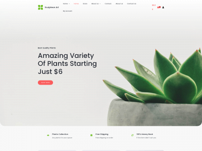 sculpteon.com snapshot