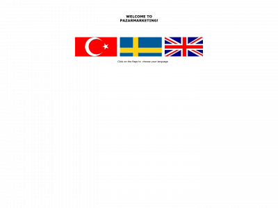 pazarmarketing.se snapshot