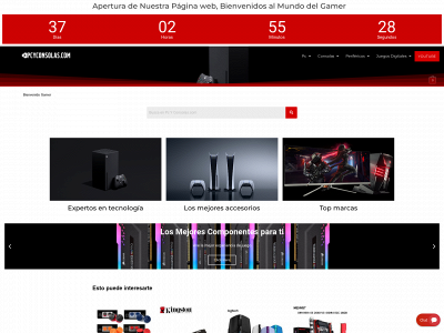pcyconsolas.com snapshot