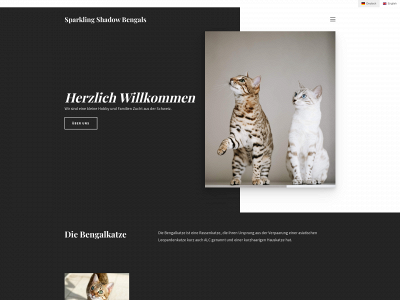 sparklingshadow.ch snapshot