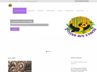 2teensandapanda.com snapshot