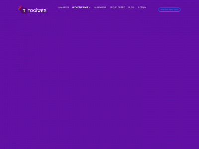 togiajans.com snapshot