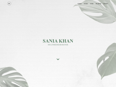 saniak.dk snapshot
