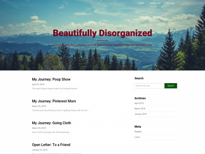 beautifullydisorganized.com snapshot