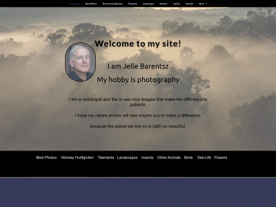 jellebarentsz.com snapshot