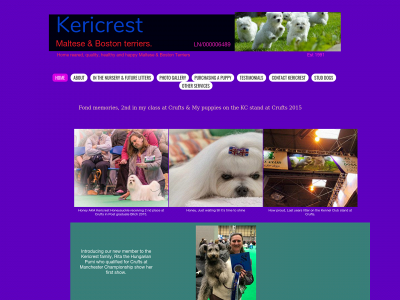kericrest.com snapshot