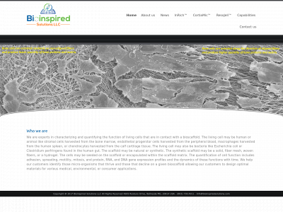 bioinspiredsolutions.com snapshot
