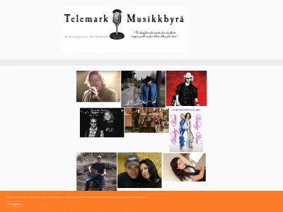 telemarkmusikk.no snapshot