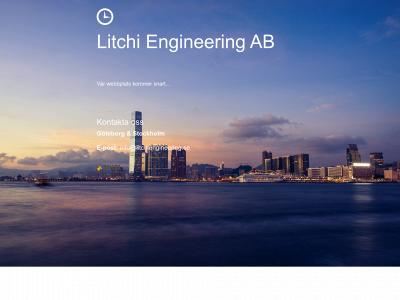 litchiengineering.se snapshot