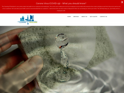 thecleaningofrockland.com snapshot