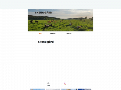 skenagard.se snapshot