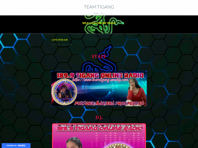 teamtigang.weebly.com snapshot