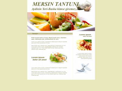 mersintantuni.be snapshot