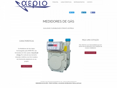 aepio.com.br snapshot