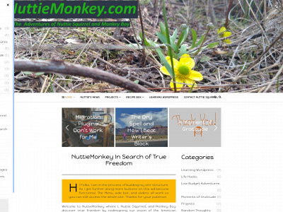 nuttiemonkey.com snapshot