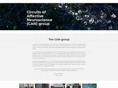 circuits-of-affective-neuroscience.com snapshot