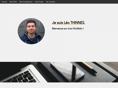 leothinnes.com snapshot