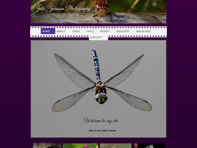 juliejphotography.co.uk snapshot