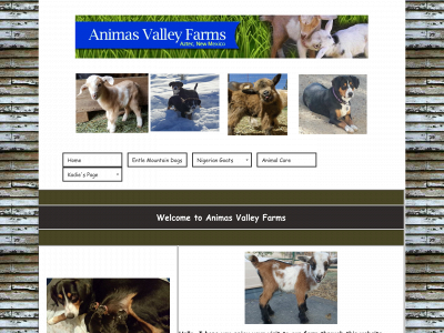 animasfarms.com snapshot