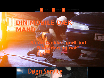 dmdaek.dk snapshot