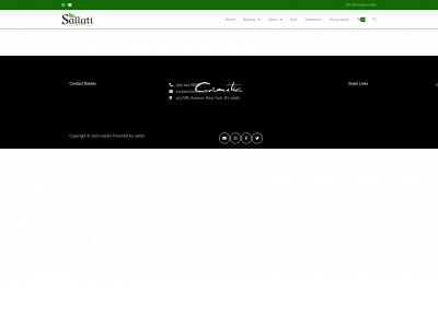 sallati.store snapshot