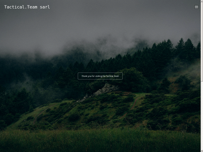 tactical.team snapshot